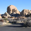 Joshua Tree National Park