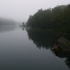 Mist_thumb