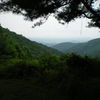 Dscn0077_thumb