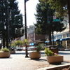 Santa Rosa, California, United States