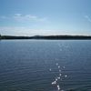 Big Wolf Lake