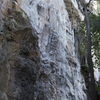 Dsc_0818_thumb