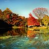 Prospect Park, New York, United States