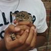 Churchbunny_thumb