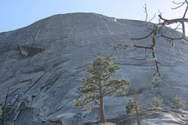 Picture_10_medium