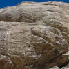 Sany0058_thumb
