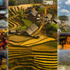 Sapa1_thumb