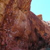 Sany0048_thumb