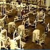 24hr Fitness - Pearl