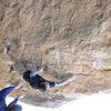 Dsc_0352_thumb