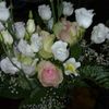 Image_thumb