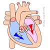 Core Cardiology for Medical Students