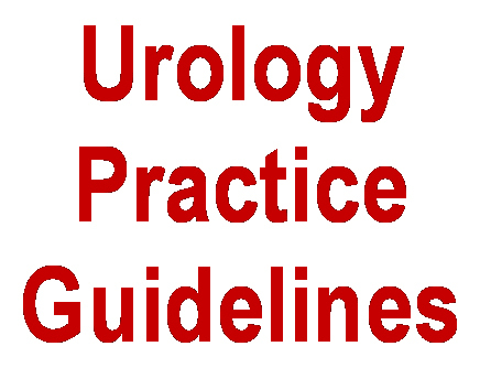 Urology Clinical Guidelines: A Selected Review
