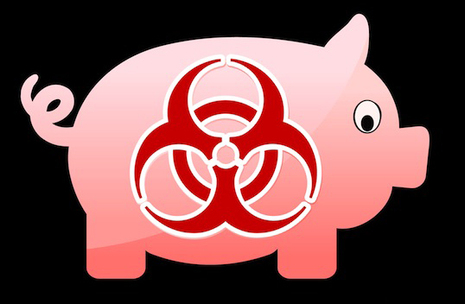 Swine Flu Facts