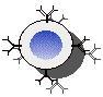 Immunity, Immune System & Immunolgy: An Overview
