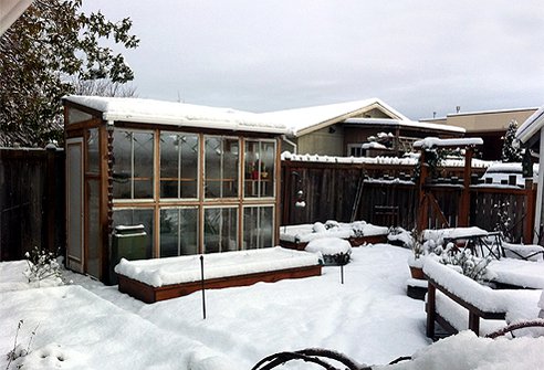 Window-frame-greenhouse-in-winter.png.492x0_q85_crop-smart