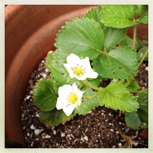 Photo_(8)