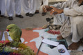 Parrot_small
