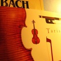 Tarisio_small
