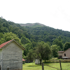 Piece image