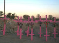Juarezcrosses_small