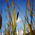 Mpj042266700001_small