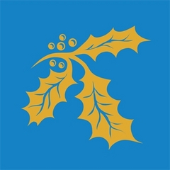 Piece image