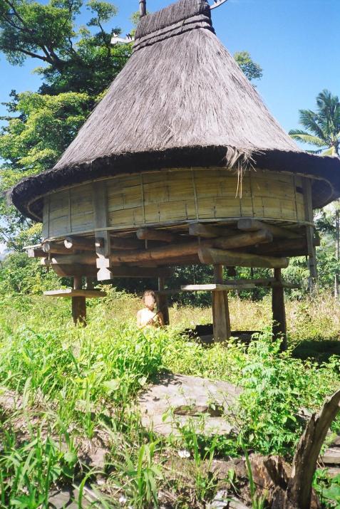 Caption: Umalulik in Timor Leste