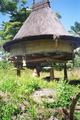 Uma_lulik_timor_small