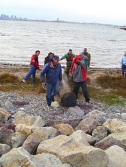 Caption: A mishoon lands on Deer Island
