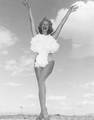 Atom_bomb_swimsuit_small