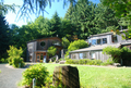 Stika_center_sunny_small