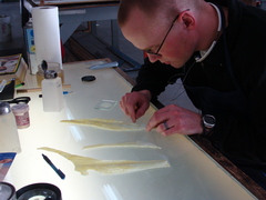 Caption: Garrick Holey works on restoring a piece, Credit: Willet Hauser Architectural Glass