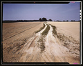 Hayride_14_small