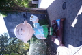 Charlie_brown_small