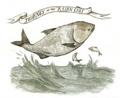 Piece image