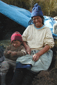 Perulucia2_small