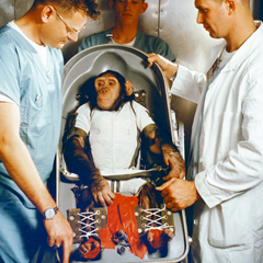 Caption: Ham at work, Credit: Nasa