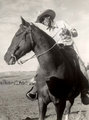 Brickerhorse_small