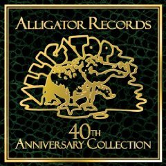 Alligator_medium
