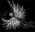 Icarus_small