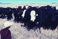 Wyatt-on-mimms-ranch-crop_small