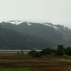 Caption: Snow on the mountain