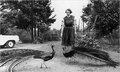 Flanneryoconnor-pix_small