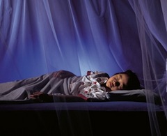 Caption: Mosquito Net