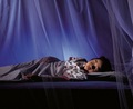 Mosquito_net_small