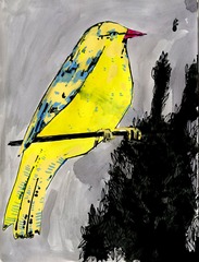 Caption: Surprise! It's a bird. , Credit: Elizabeth Graeber