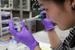 Caption: Judy Wu, a Ph.D student at the University of Minnesota, doses some bees with a sugar solution and others with a solution containing a class of pesticides called neonicotinoids., Credit: Photo by Kathleen Masterson / Harvest Public Media