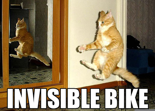 Caption: Photo by: scottobear, Flickr
