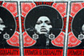 Cointelpro_small